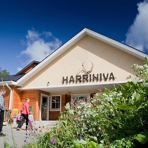 Harriniva Adventure Resort Cabins